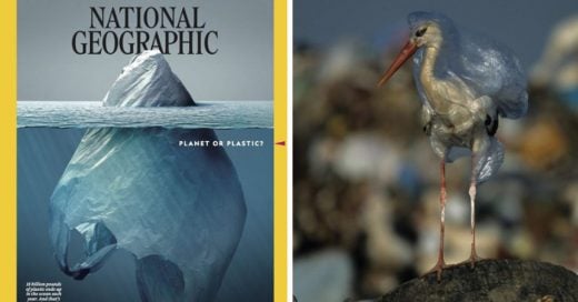 Cover portada de National Geographic