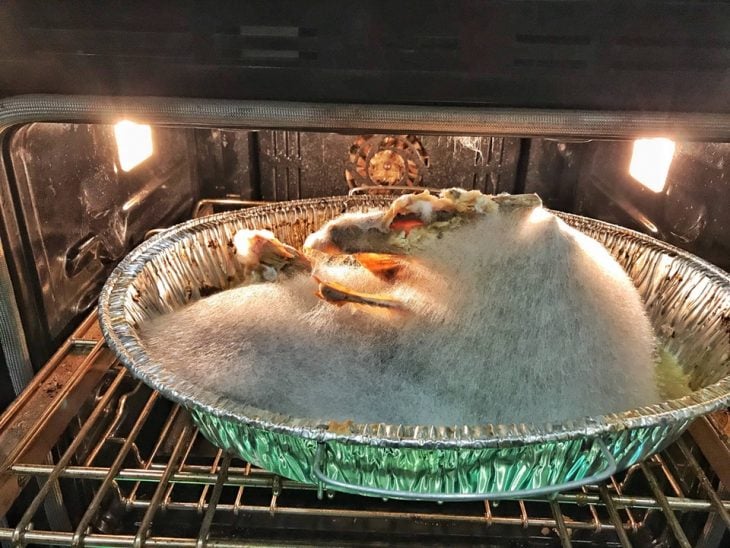 pavo echado a perder dentro de un horno