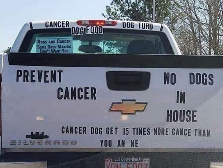 camioneta con letras sobre cáncer en perros 
