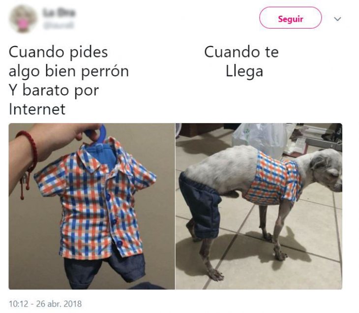 tuit sobre la expectativa vs realidad de pedir ropa de perro en internet