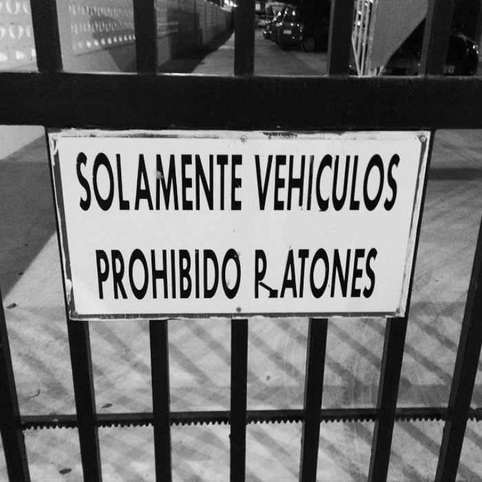 cartel prohibido estacionar ratones 