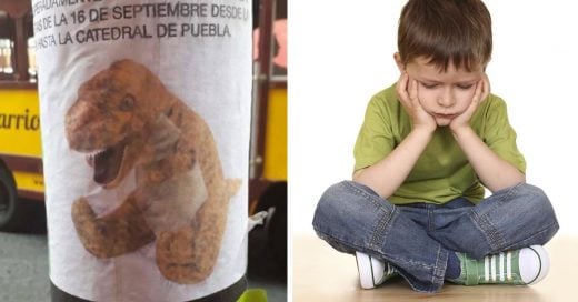 Cover Niño pide ayuda para encontrar su dinosaurio de peluche