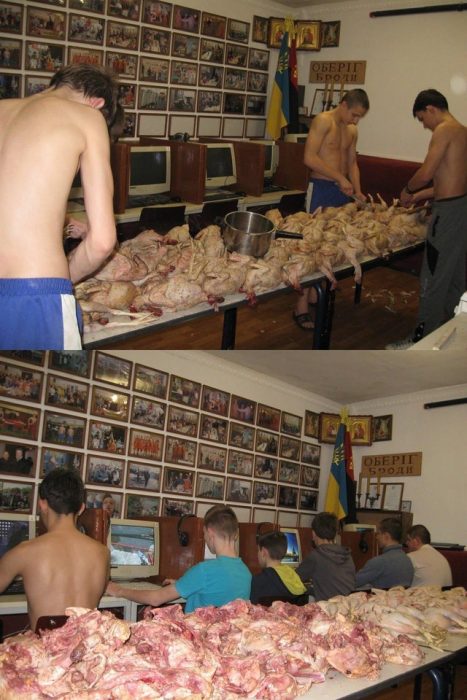 chicos con pollos y videojuegos 