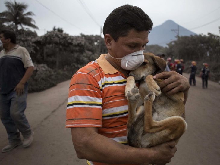 hombre con su perro 