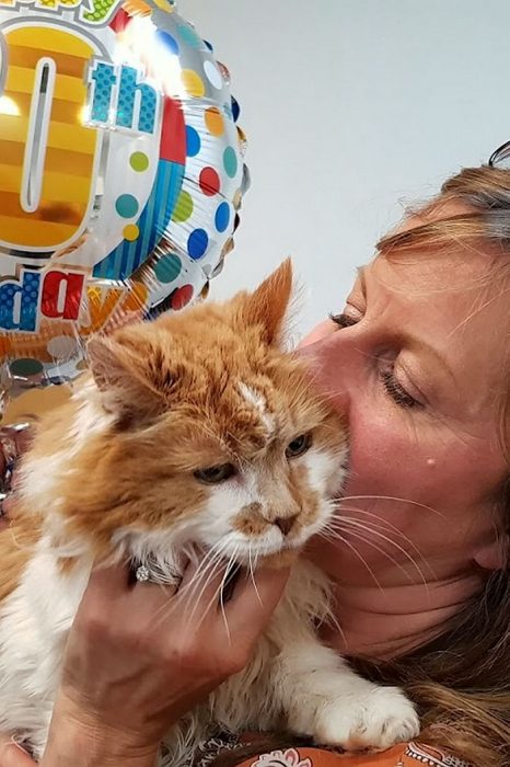 Gato cumplió 30 años Recreo Viral