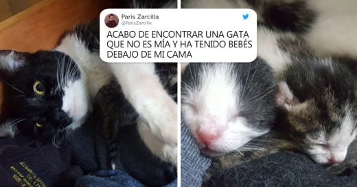 Cover No creerás lo que este hombre encontró bajo su cama