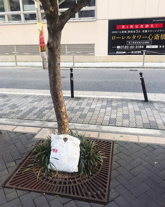 bolsa en un árbol 