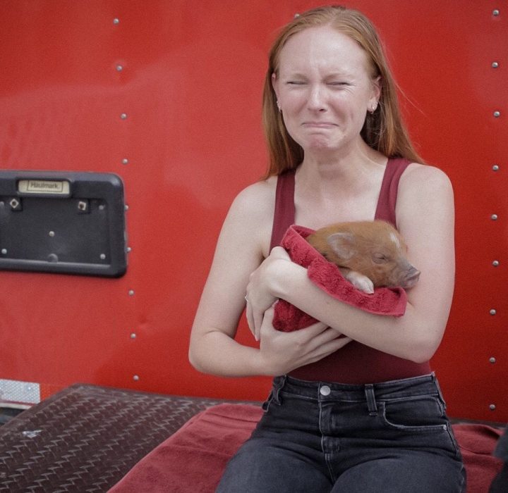 chica llorando con un minicerdo 