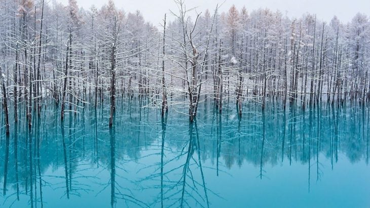 El Estanque Azul en Hokkaido, Japón