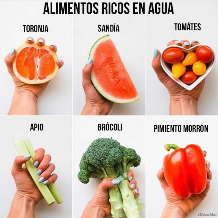 alimentos ricos en agua 