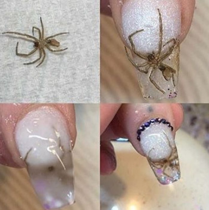 uñas de araña