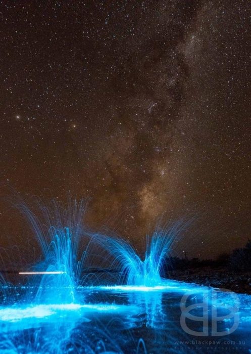 Plancton bioluminiscente en playa de Tasmania