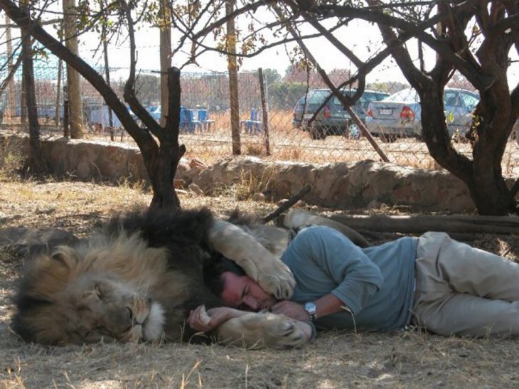 león abrazando a kevin richardson 