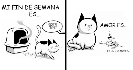 Cover cómics sobre la vida de un gatito