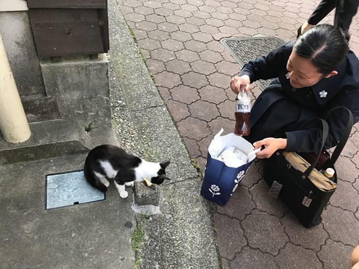  Una mujer comparte su comida con un gatito de la calle