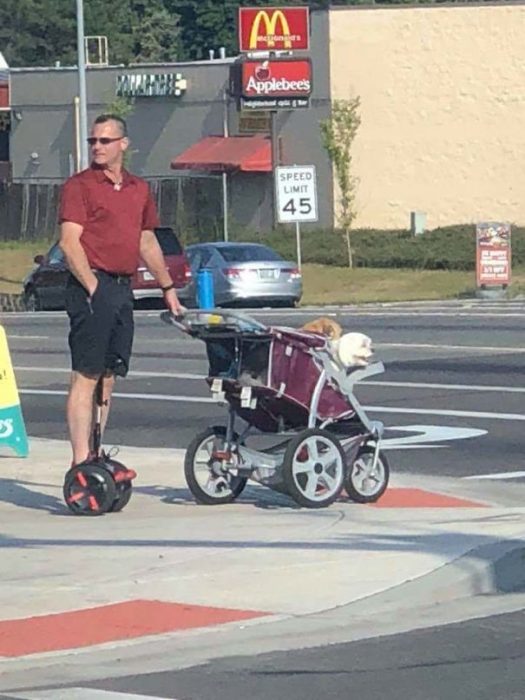 persona paseando perro
