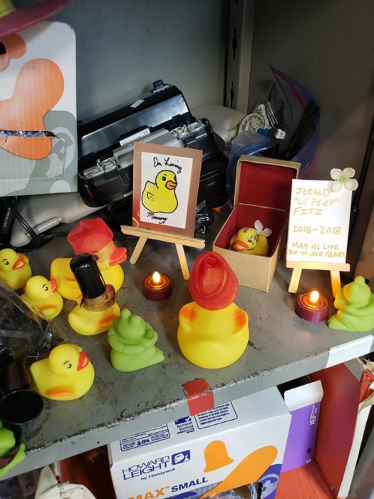 funeral a un pato de plástico en oficina