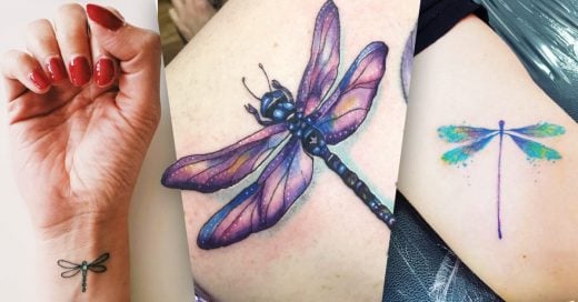 Cover tatuajes de libélulas