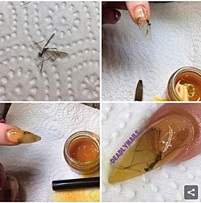 uñas decoradas con mosquitos 