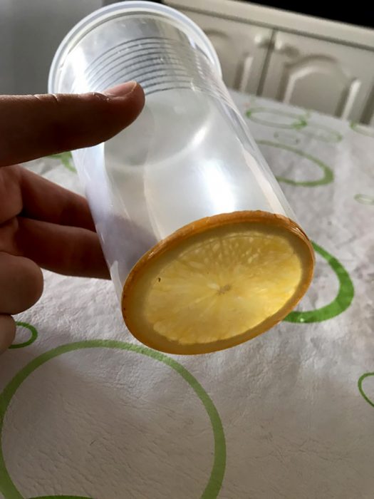 Naranja de la misma circunferencia que un vaso