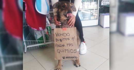 Cover Perrito con cáncer vende "busitos" para pagar el tratamiento