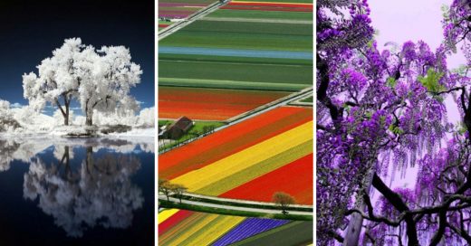 Cover Fotografías que demuestran que la naturaleza es asombrosa