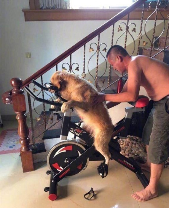 hombre enseñándole a andar en bici al perro 