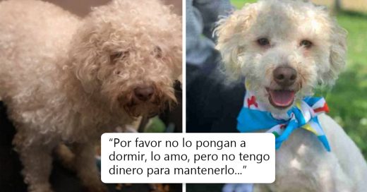 Cover Abandona a su perro en un estacionamiento