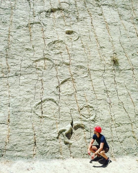 Pisadas de dinosaurio en Bolivia