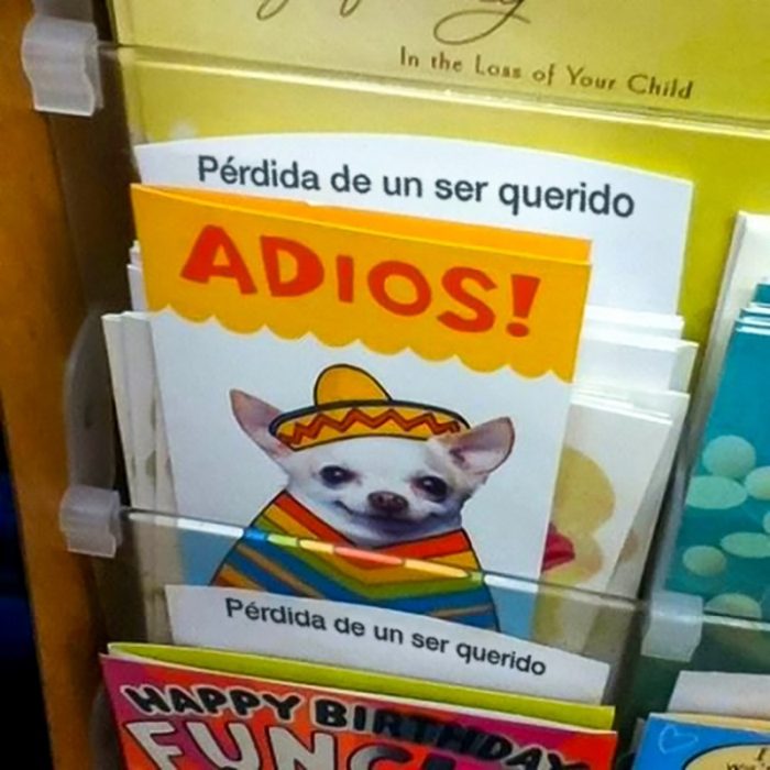 tarjeta de chihuahua