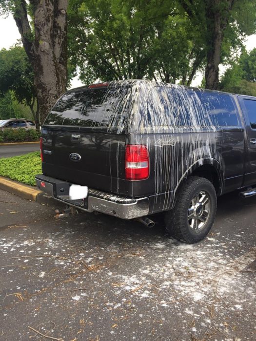 camioneta llena de popó de pájaro 