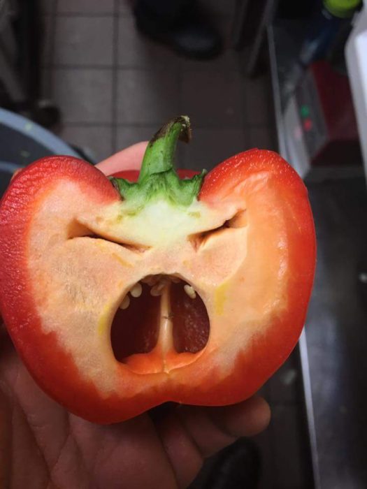 tomate enfurecido 