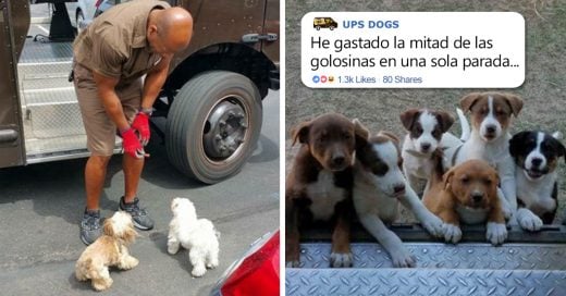 Cover Repartidores de UPS muestran fotografías con los perritos