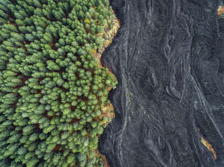 paisaje mitad lleno de cenizas, mitad con vida 