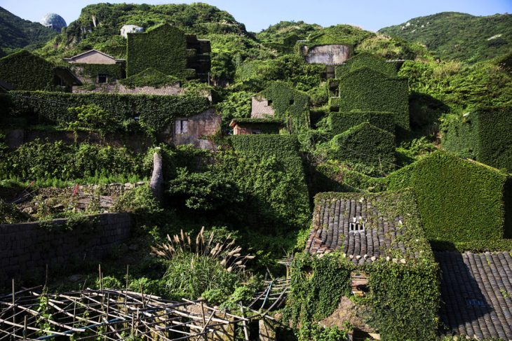 pueblito cubierto de vegetación 