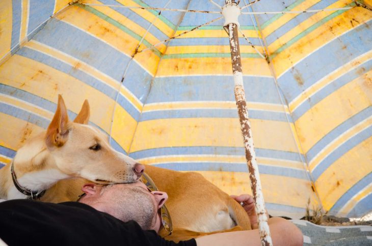 Fotógrafo de perros del año