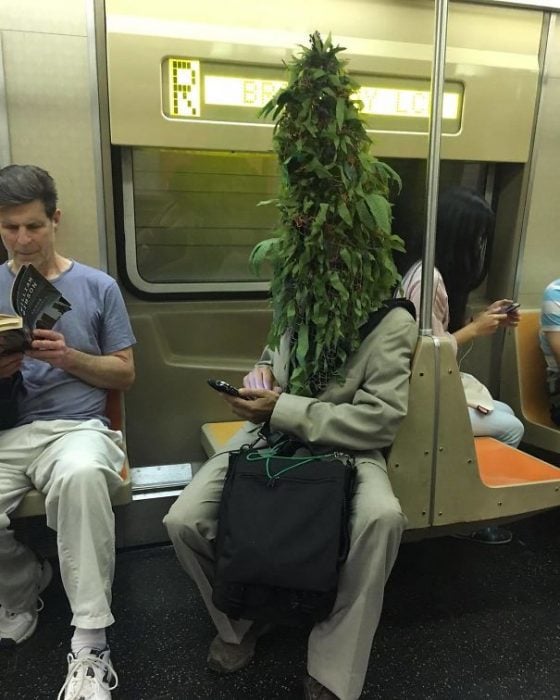 hombre en el metro con un arbusto en la cara