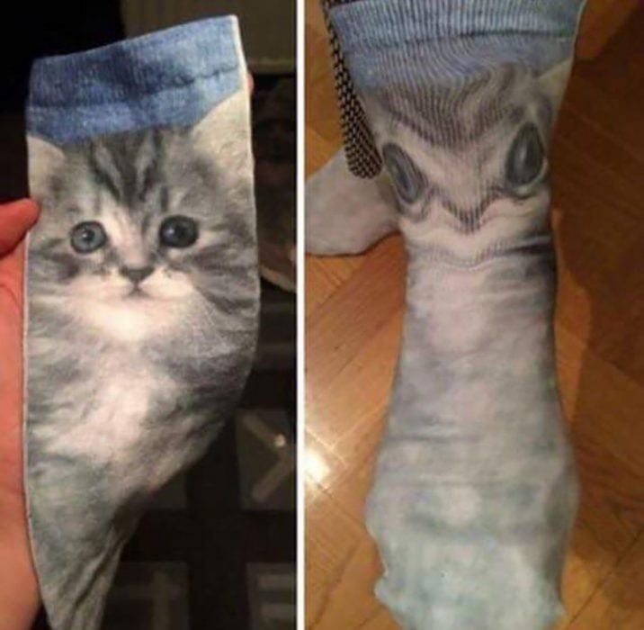 expectativa vs realidad calcetines de gato
