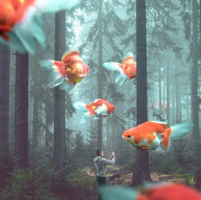 hombre tomando fotos a los peces de colores que flotan en el bosque