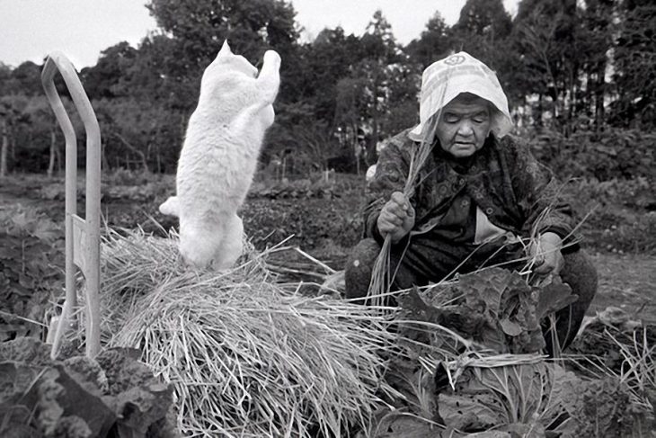 viejita y su gato 