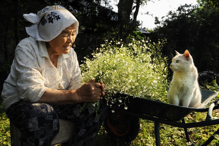 viejita y su gato 