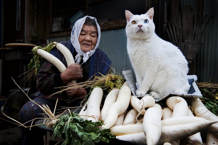 viejita y su gato 