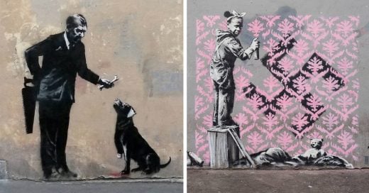 Cover Banksy vuelve a la carga con sus últimas obras en Nueva York