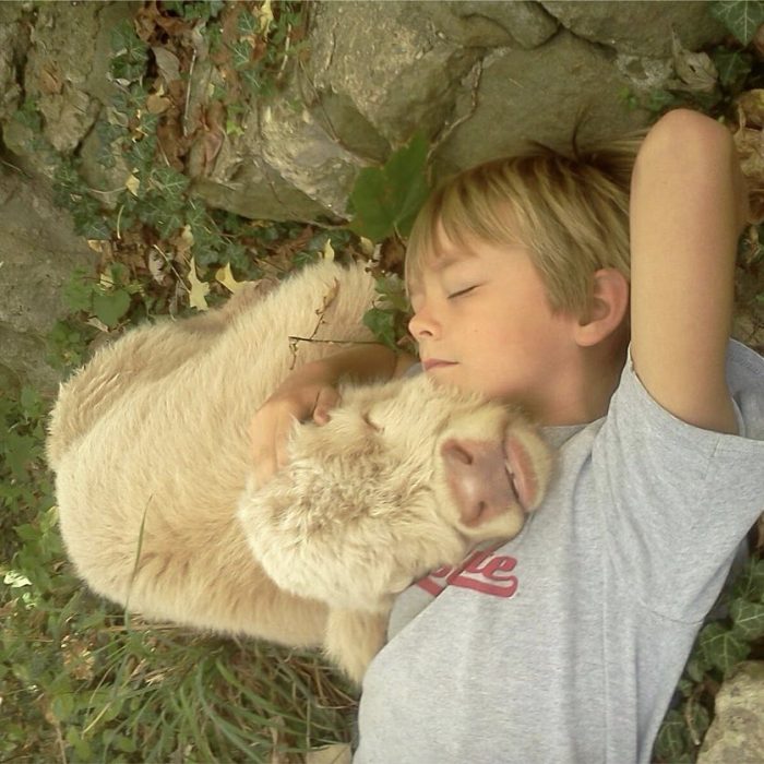 perritos y bebés amigos desde el primer día