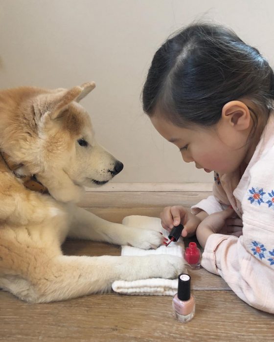 perritos y bebés amigos desde el primer día