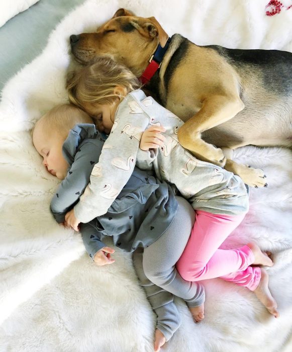 perritos y bebés amigos desde el primer día