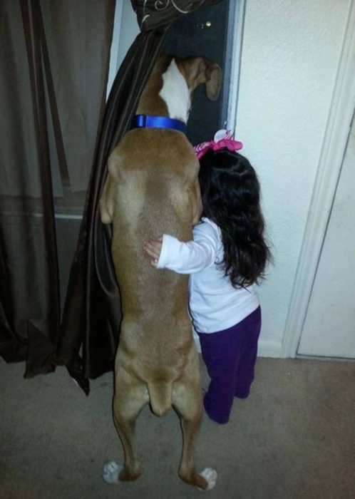 perritos y bebés amigos desde el primer día