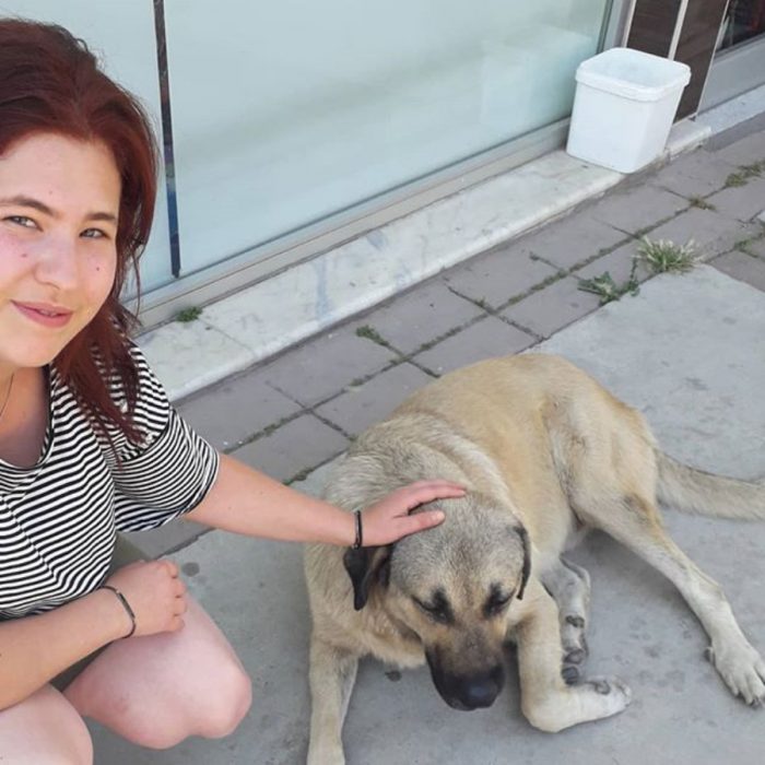 niña acaricia a un perro de la calle 