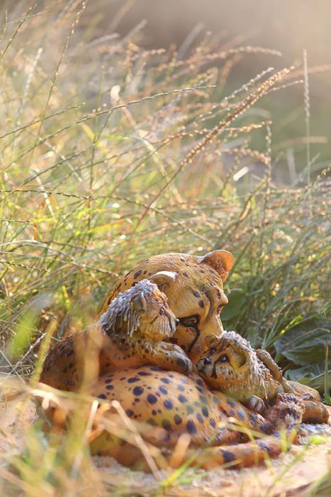 pastel de cheetas en la naturaleza