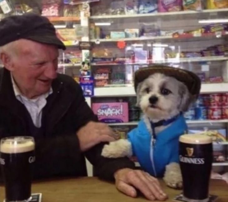 perrito en un bar con un viejito
